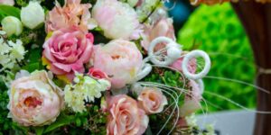 What to Know About Seasonal Flowers in Artarmon